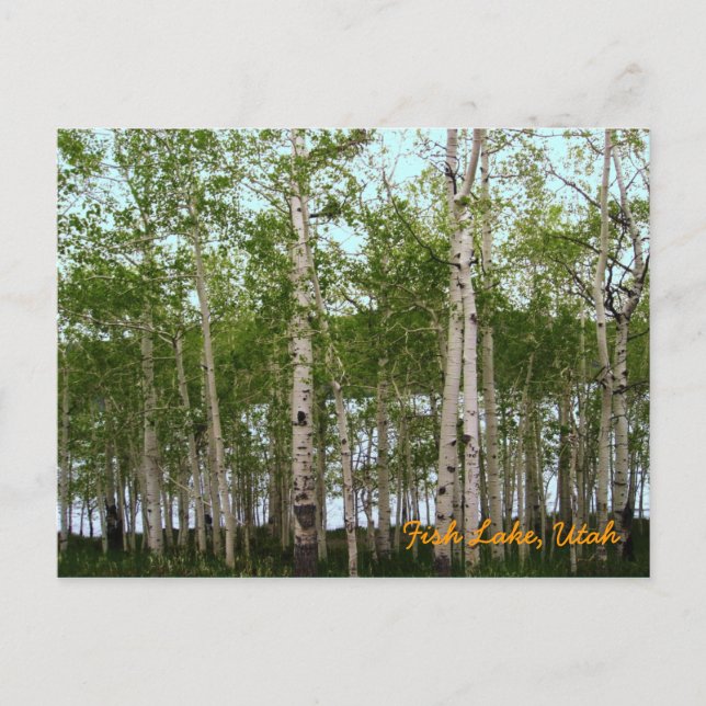 Postal Lago de peces, Utah (Anverso)