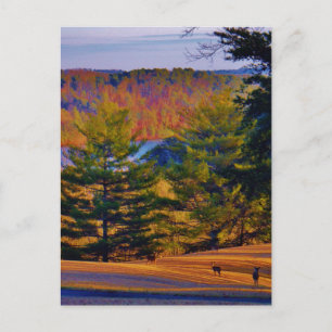 Postal Lago Deer & Mt