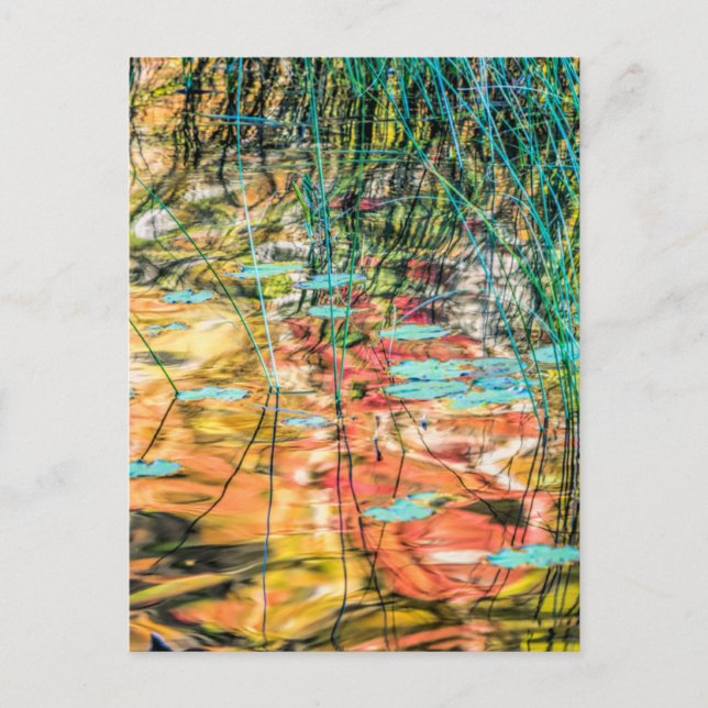 Postal Lago del Consejo en el Bosque Nacional de Hiawatha (Anverso)