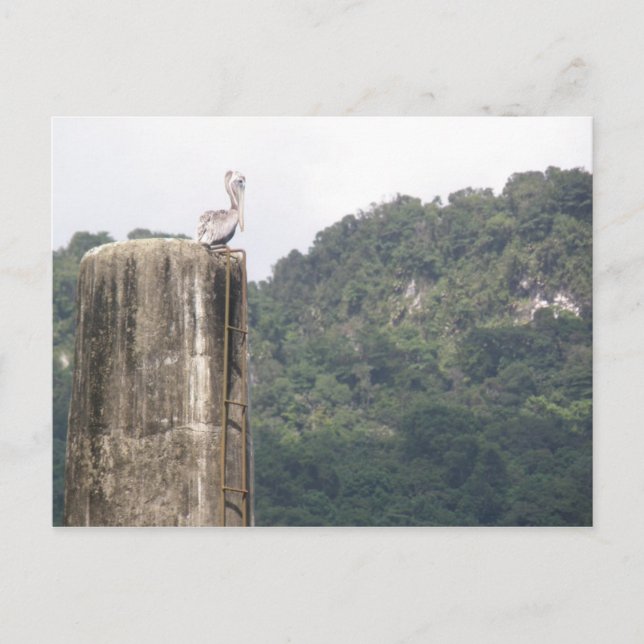 Postal Lago dos Bocas Utuado Puerto Rico (Anverso)