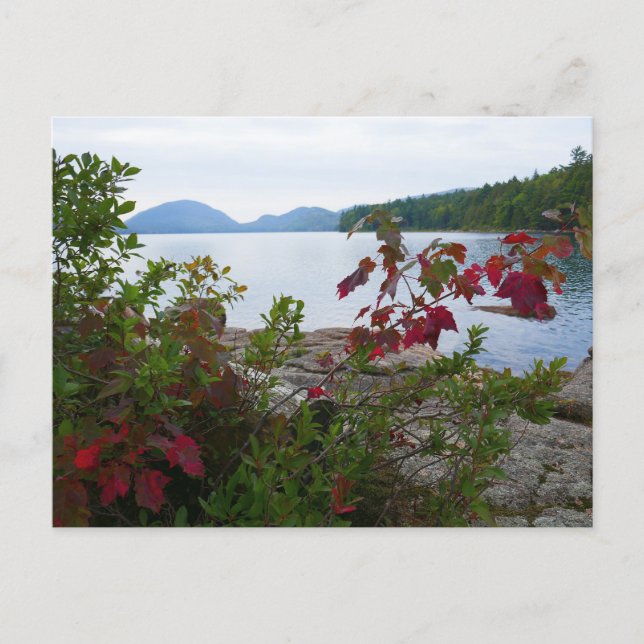 Postal Lago Eagle y Hojas de Arce Rojas I (Anverso)