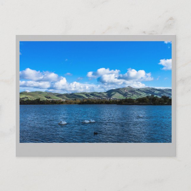 Postal Lago Elizabeth  Fremont Ca. (Anverso)