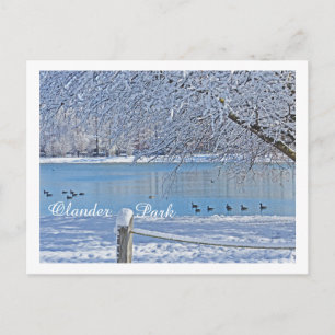 POSTAL LAGO EN EL PARQUE INVIERNO/OLANDER, SYLVANIA, OH