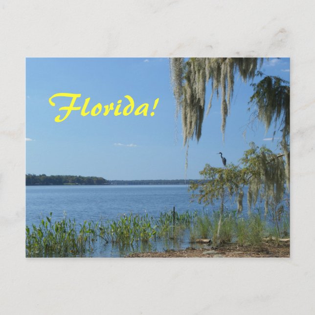 Postal Lago Florida (Anverso)