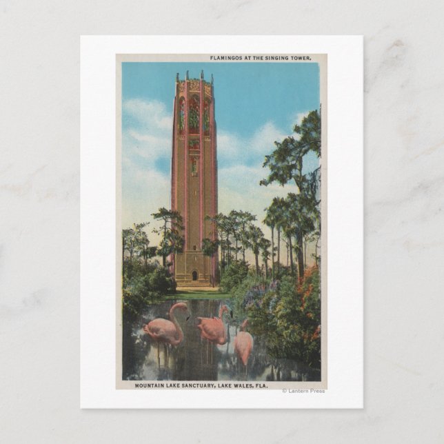 Postal Lago Gales, FL - Vista del canto (Anverso)