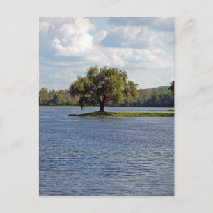 Postal Lago Iron Mountain