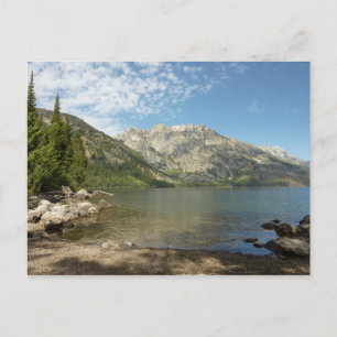 Postal Lago Jenny en el Parque Nacional Grand Teton