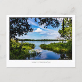 Postal Lago Lou