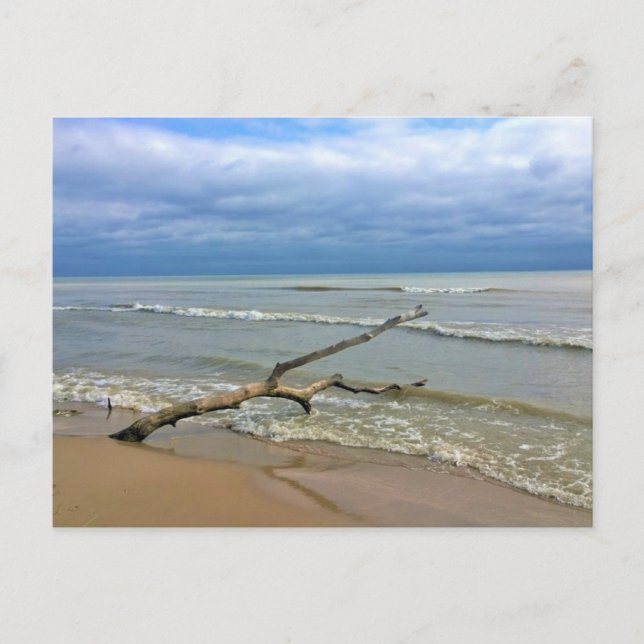 Postal Lago Michigan, Sheboygan, Wisconsin (Anverso)