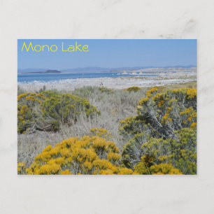 Postal Lago Mono, CA