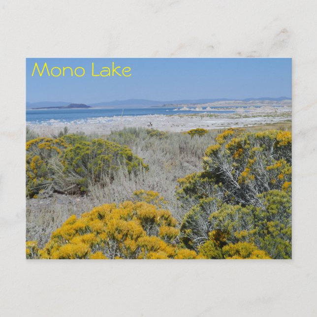 Postal Lago Mono, CA (Anverso)