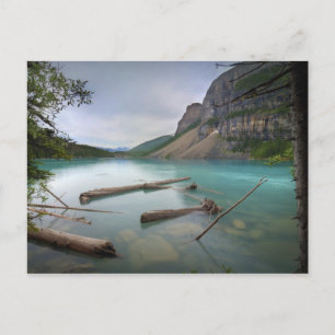 Postal Lago Moraine