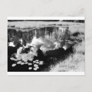 Postal Lago Northwoods con hermoso paisaje reflejado