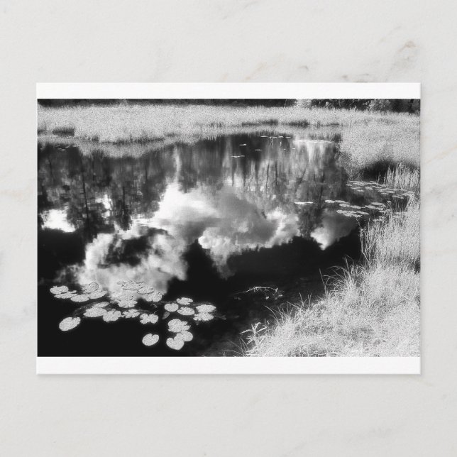 Postal Lago Northwoods con hermoso paisaje reflejado (Anverso)