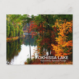 Postal Lago Okhissa - Selva Nacional Homochitto