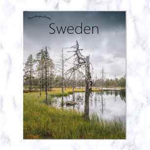 Postal Lago pantano oculto en Jämtland Suecia