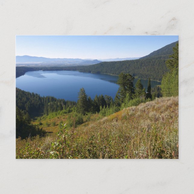 Postal Lago Phelps III en el Parque Nacional de Grand Tet (Anverso)