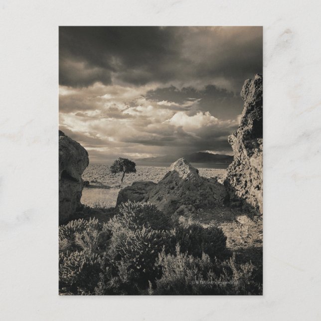 Postal Lago Pirámide, Nevada 2 (Anverso)