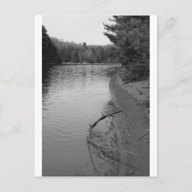 Postal Lago Primavera (Anverso)