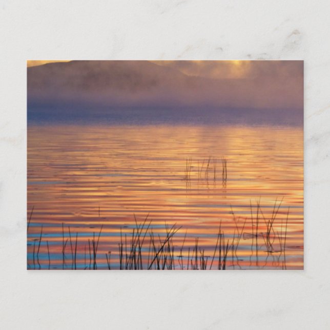 Postal Lago Racquette | Montañas Adirondack, Nueva York (Anverso)