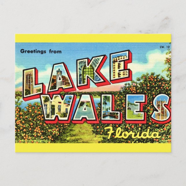 Postal Lago Retro Wales Florida (Anverso)