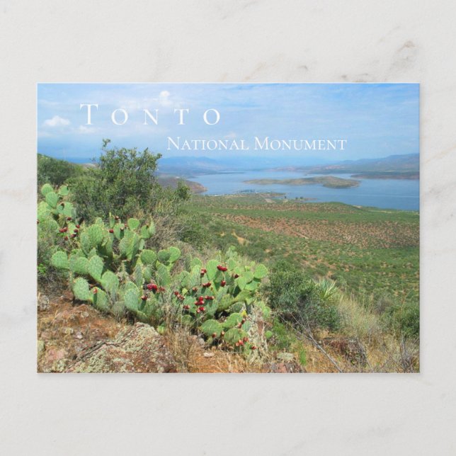Postal Lago Roosevelt, Monumento Nacional Tonto, AZ (Anverso)