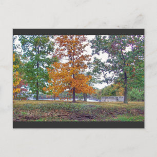 Postal Lago Scranton Postcard Scranton PA-Otumn