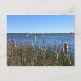 Postal Lago Simcoe