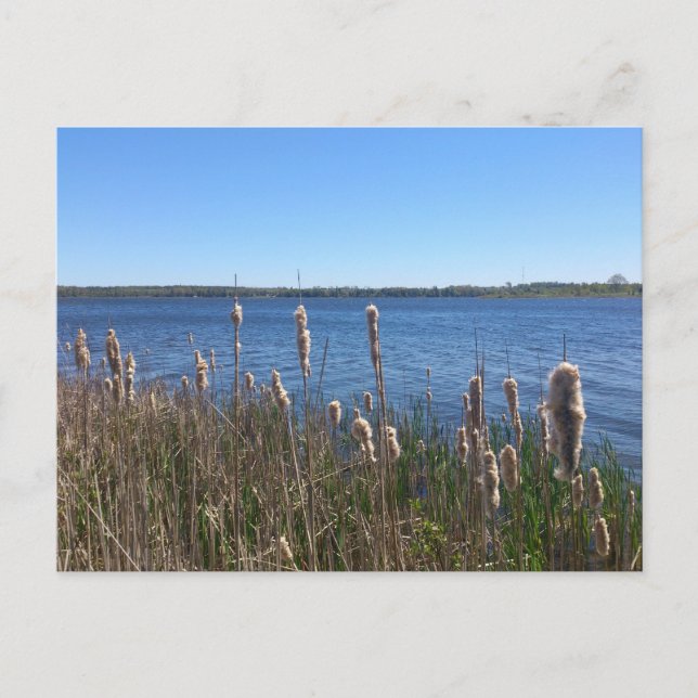 Postal Lago Simcoe (Anverso)