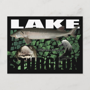 Postal Lago Sturgeon-Collage-Postcard