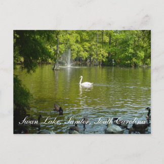 Postal Lago Swan