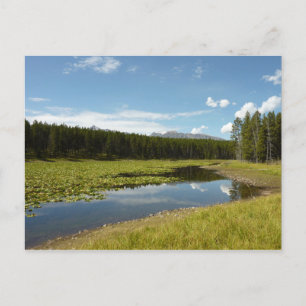 Postal Lago Swan I en el Parque Nacional Grand Teton