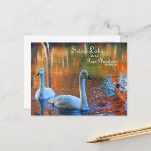 Postal Lago Swan y Jardines Iris, Sumter, SC