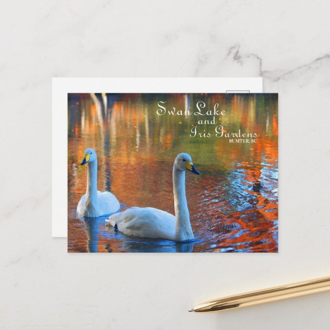 Postal Lago Swan y Jardines Iris, Sumter, SC (Anverso/Reverso In Situ)
