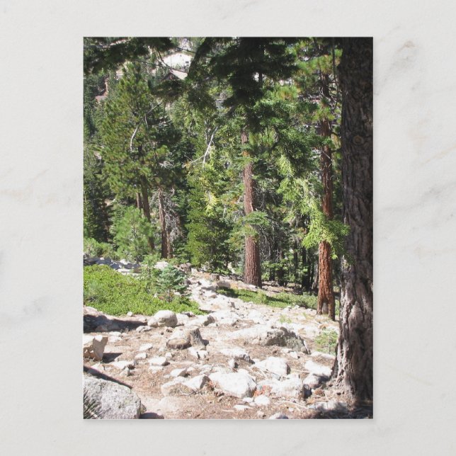 Postal Lago Tahoe (Anverso)