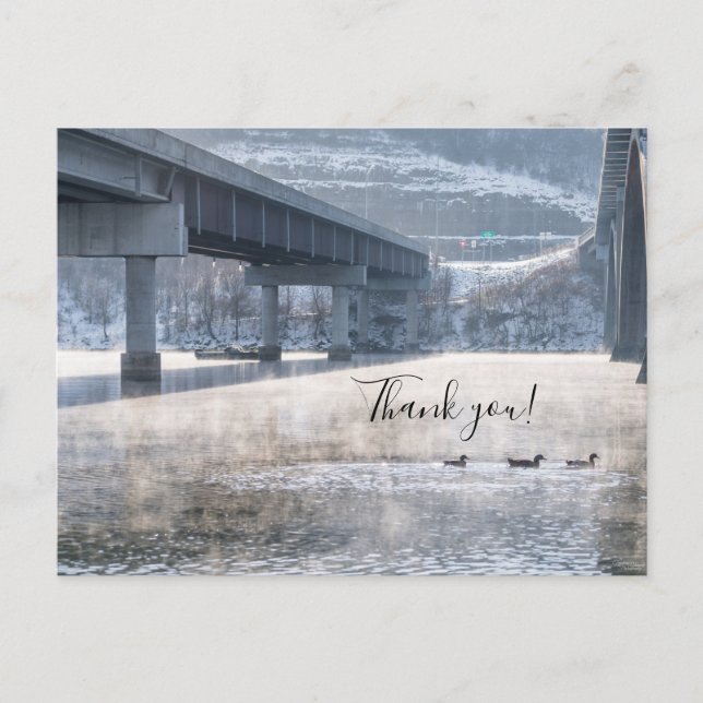 Postal Lago Taneycomo Niebla Invierno Pesca Gracias (Anverso)