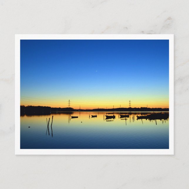 Postal Lago Teganuma: Abiko, Japón (Anverso)