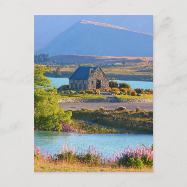 Postal lago-tekapo-517 (Anverso)