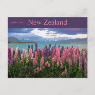 Postal Lago Tekapo Nueva Zelanda