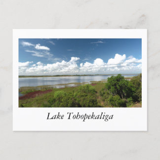 Postal Lago Tohopekaliga Florida