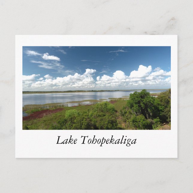 Postal Lago Tohopekaliga Florida (Anverso)