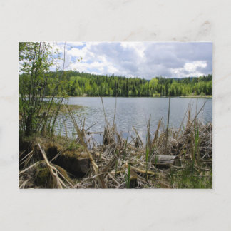 Postal Lago Trees y frontera con el Lago Sky Marshall B.C