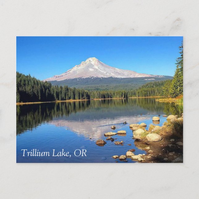 Postal Lago Trillium, OR (Anverso)