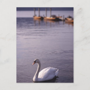 Postal Lago Windermere