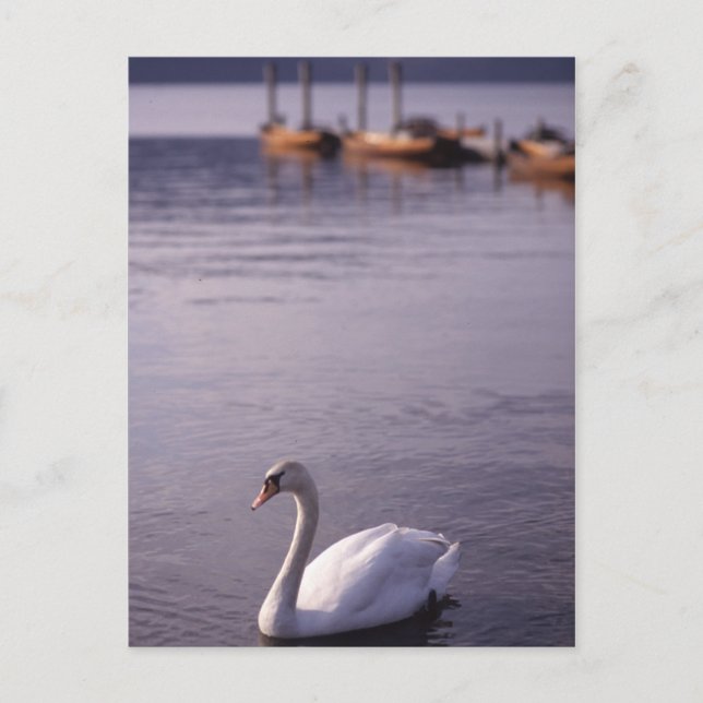 Postal Lago Windermere (Anverso)