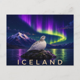 Postal Lagópodo Roca Bajo la Aurora | Islandia Icónica