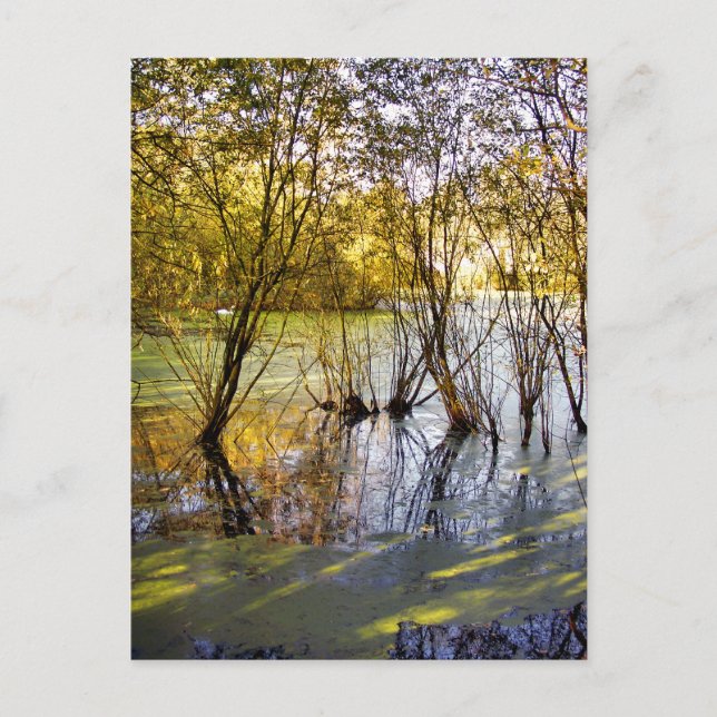 POSTAL LAGOS (Anverso)