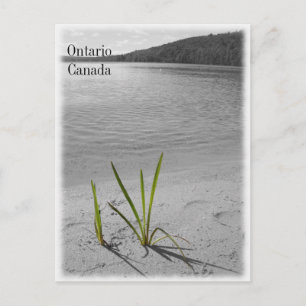 Postal Lagos de Ontario, Canadá Postcard Black & White