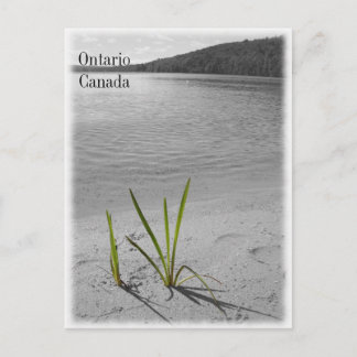 Postal Lagos de Ontario, Canadá Postcard Black & White