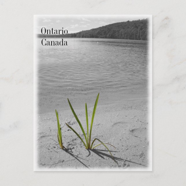 Postal Lagos de Ontario, Canadá Postcard Black & White (Anverso)
